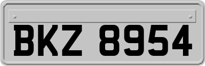 BKZ8954