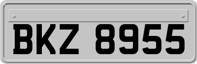 BKZ8955