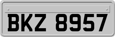 BKZ8957