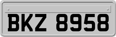 BKZ8958