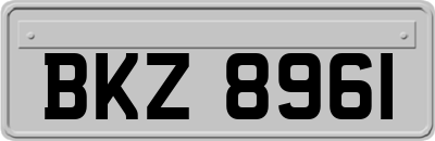 BKZ8961