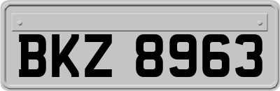 BKZ8963