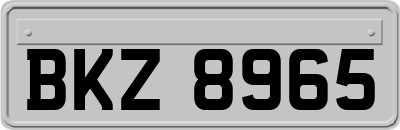 BKZ8965