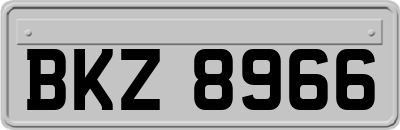 BKZ8966