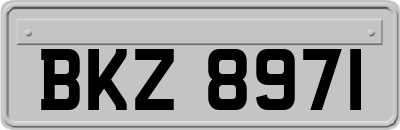 BKZ8971