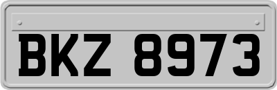 BKZ8973