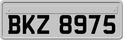 BKZ8975