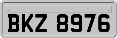 BKZ8976