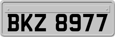 BKZ8977