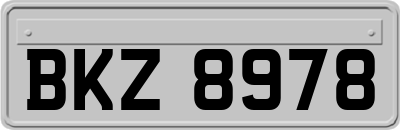 BKZ8978