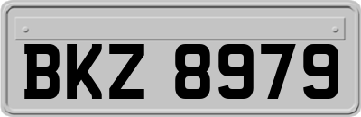 BKZ8979