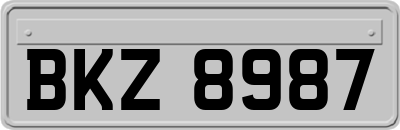 BKZ8987