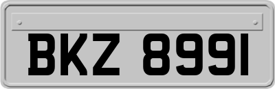 BKZ8991