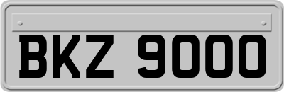 BKZ9000