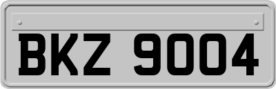 BKZ9004