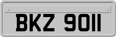 BKZ9011