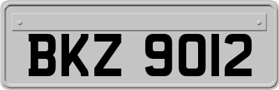 BKZ9012