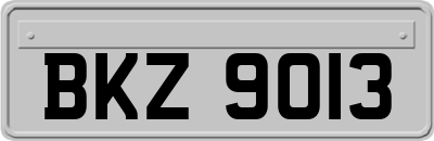 BKZ9013