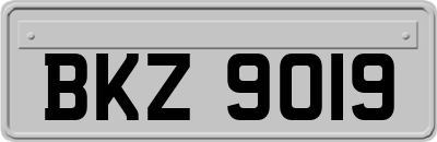 BKZ9019