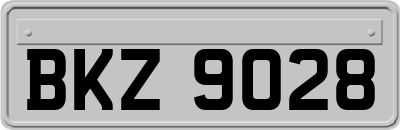 BKZ9028