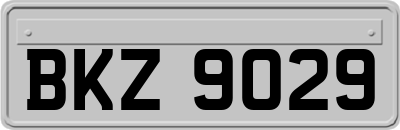 BKZ9029