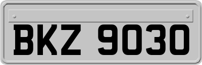 BKZ9030