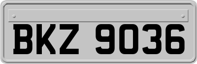 BKZ9036