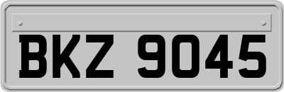 BKZ9045