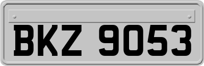BKZ9053