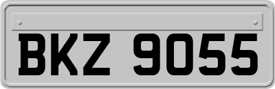 BKZ9055