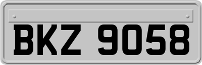 BKZ9058