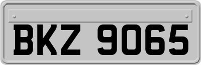 BKZ9065