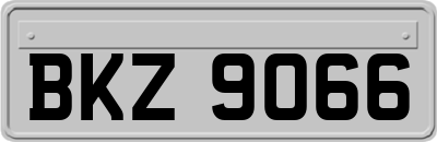 BKZ9066