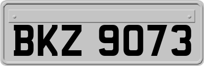 BKZ9073