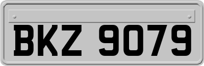 BKZ9079