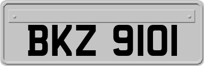 BKZ9101