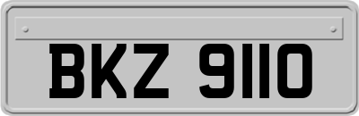 BKZ9110