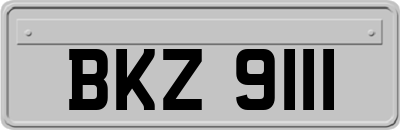 BKZ9111