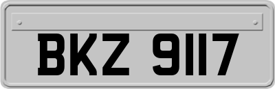 BKZ9117