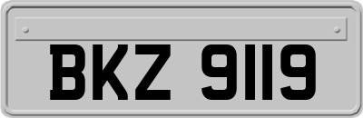 BKZ9119