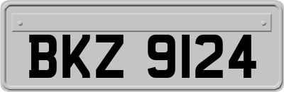 BKZ9124