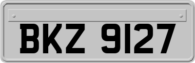 BKZ9127