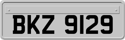 BKZ9129