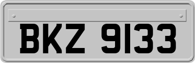 BKZ9133