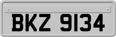 BKZ9134