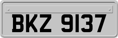 BKZ9137