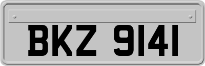 BKZ9141