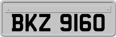 BKZ9160