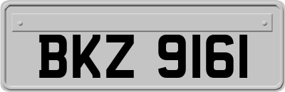 BKZ9161