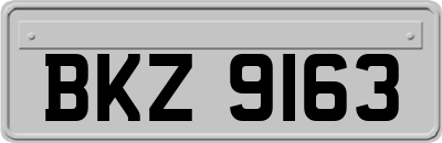 BKZ9163